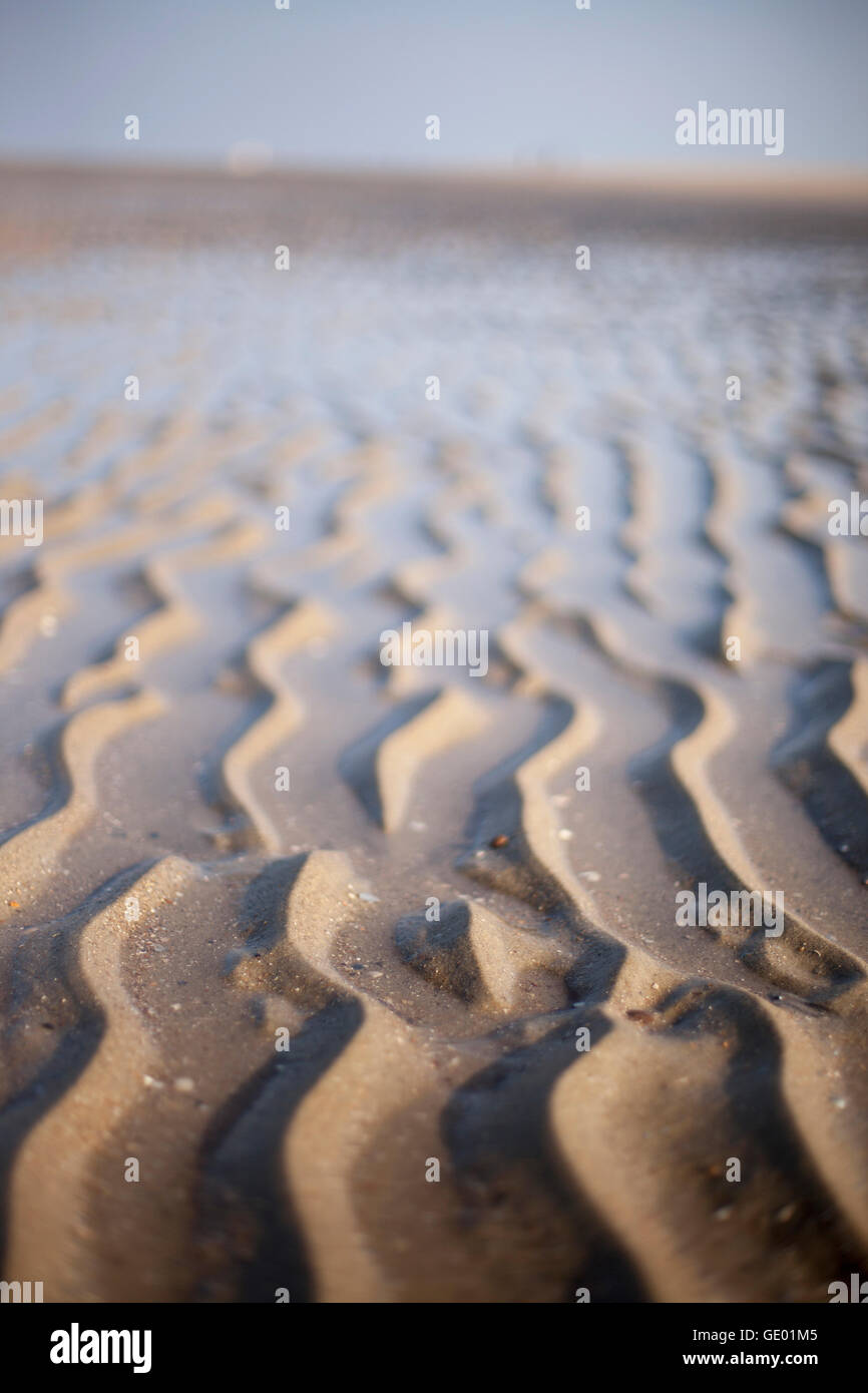Modelli di onda di sabbia in spiaggia, Renesse, Schouwen-Duiveland, Zeeland, Paesi Bassi Foto Stock