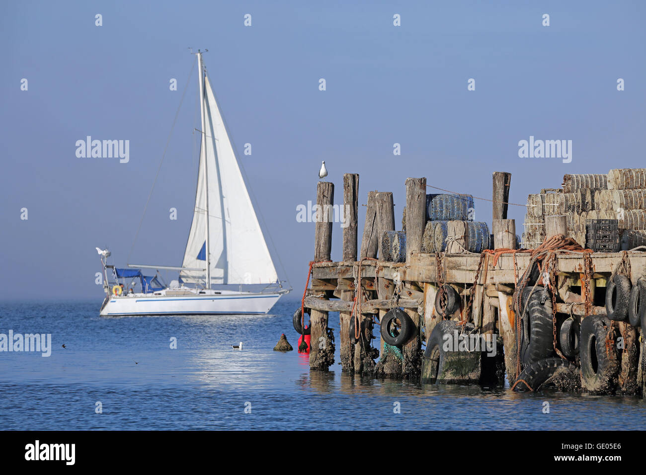 La banchina Hoedjies Bay, Saldanha Bay, sulla costa occidentale del Sud Africa Foto Stock