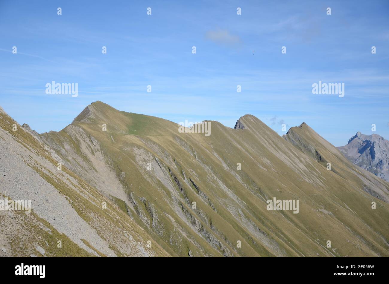 Il CREST, alpi, Cliff, svizzero, montagna, erba, viaggi, serenità, sfida, visualizzare, arrampicata, europeo, Rocky, attrazione, soleggiato Foto Stock