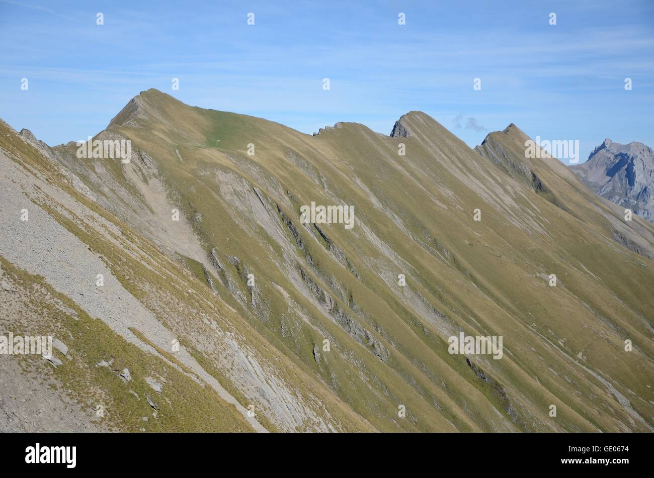 Il Crest, ridge, Swiss, alpi, pietre, sassi, erba, ripida scogliera, Foto Stock