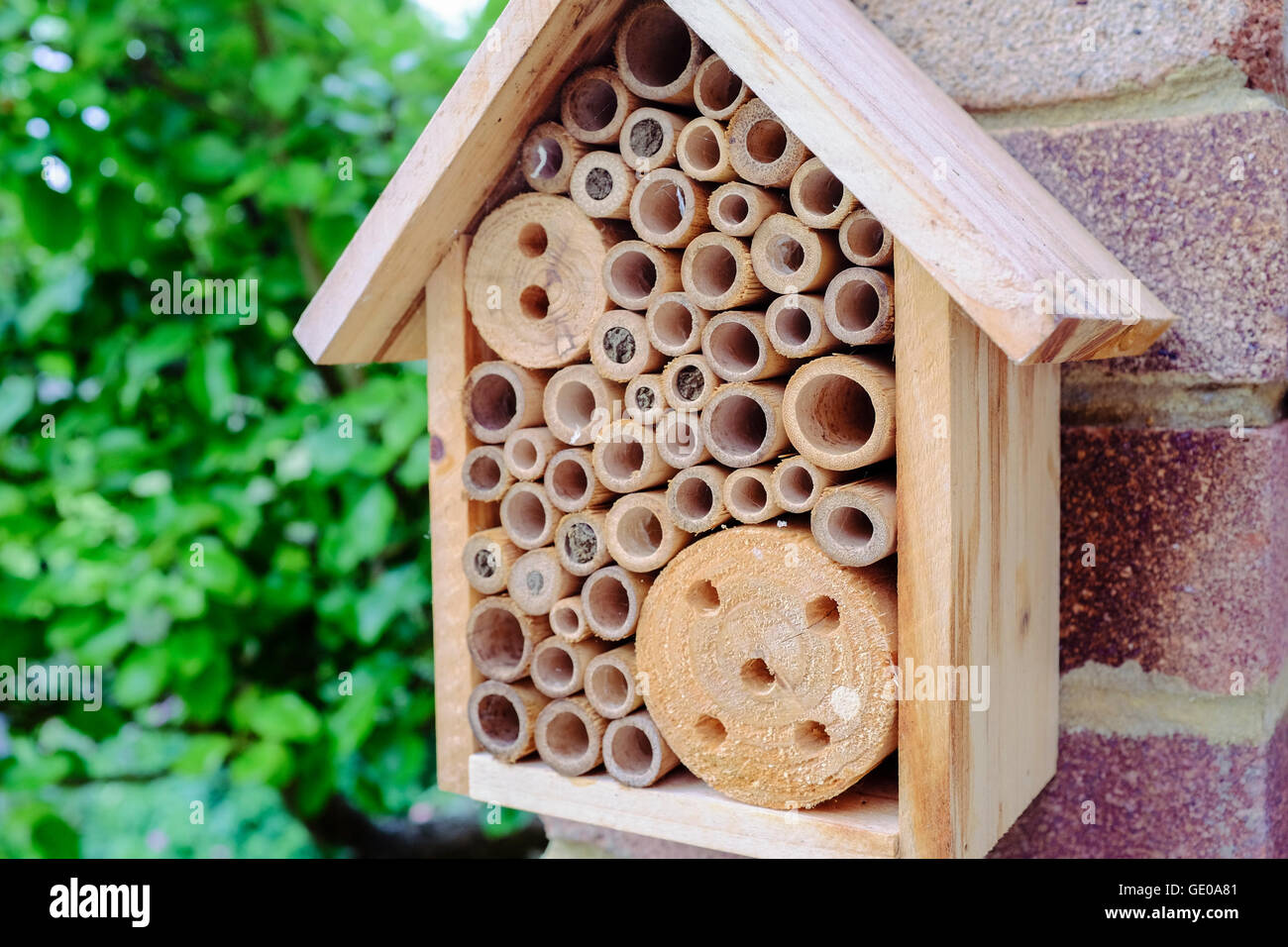 Casa di insetti nel giardino suburbano, Kent, Regno Unito Foto Stock