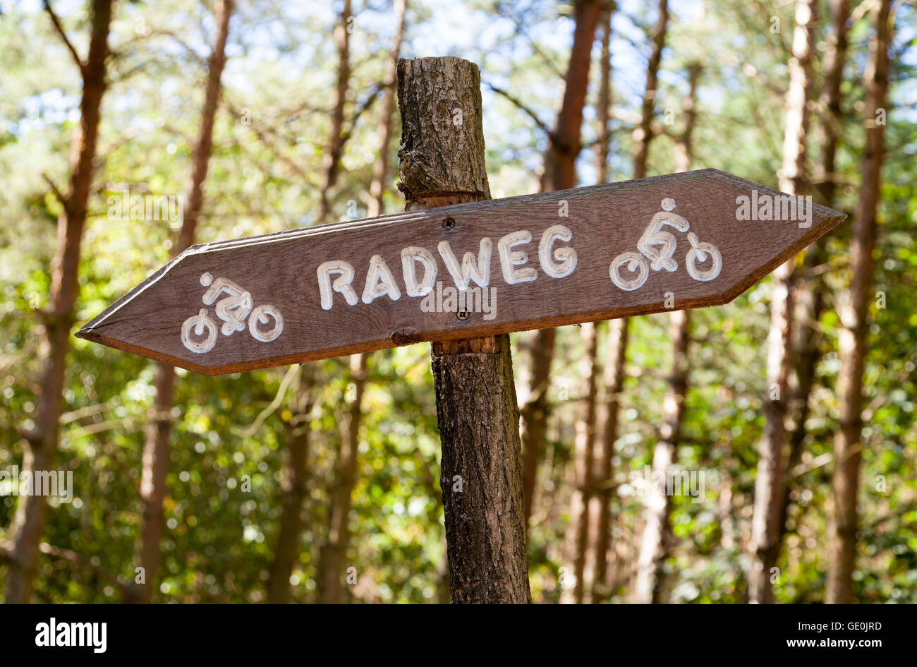 Il tedesco Radweg, cycleway sign in una foresta Foto Stock