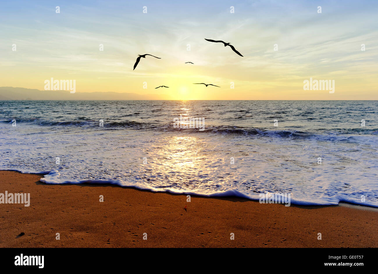 Ocean sunset uccelli è un gruppo di uccelli in volo e un cammino verso la libertà e la luce. Foto Stock