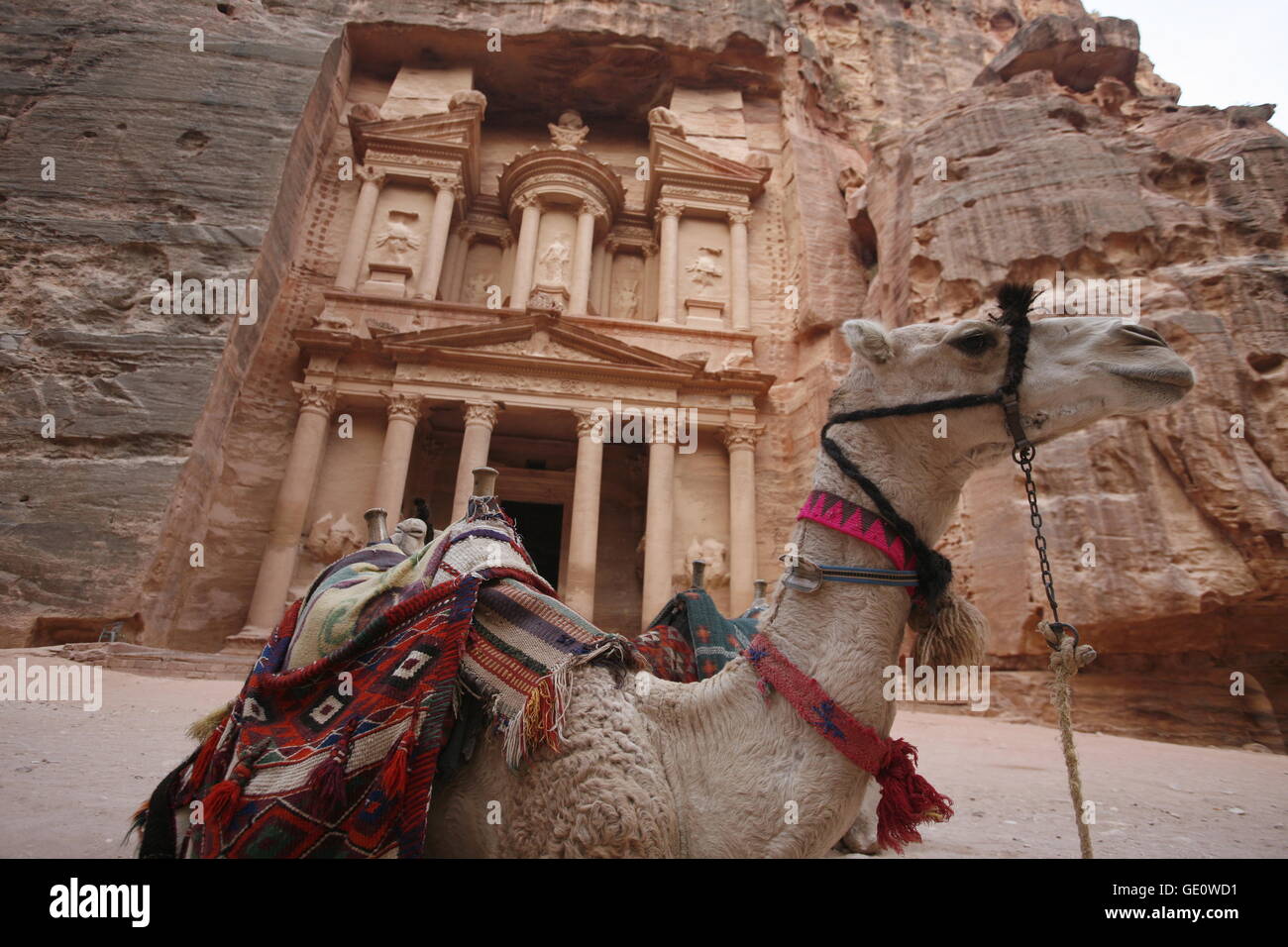 Un Beduin donne al lavoro a filatura woll nel tempio città di Petra in Giordania in medio oriente. Foto Stock