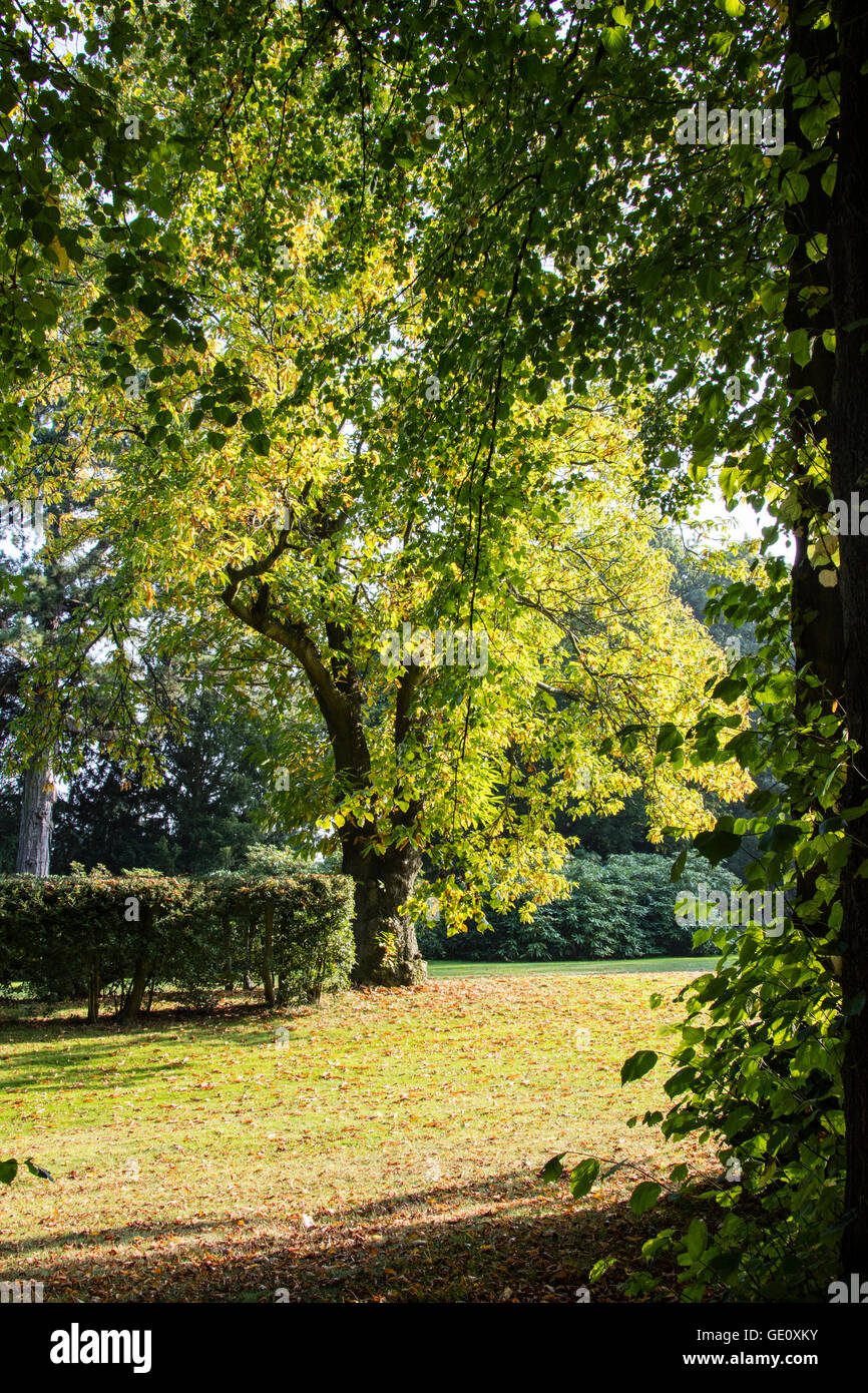 Wentworth i giardini del castello e la casa. Un grande esempio di conservazione e del parco in Barnsley giornata rilassante viaggio ubicazione Yorkshire Foto Stock