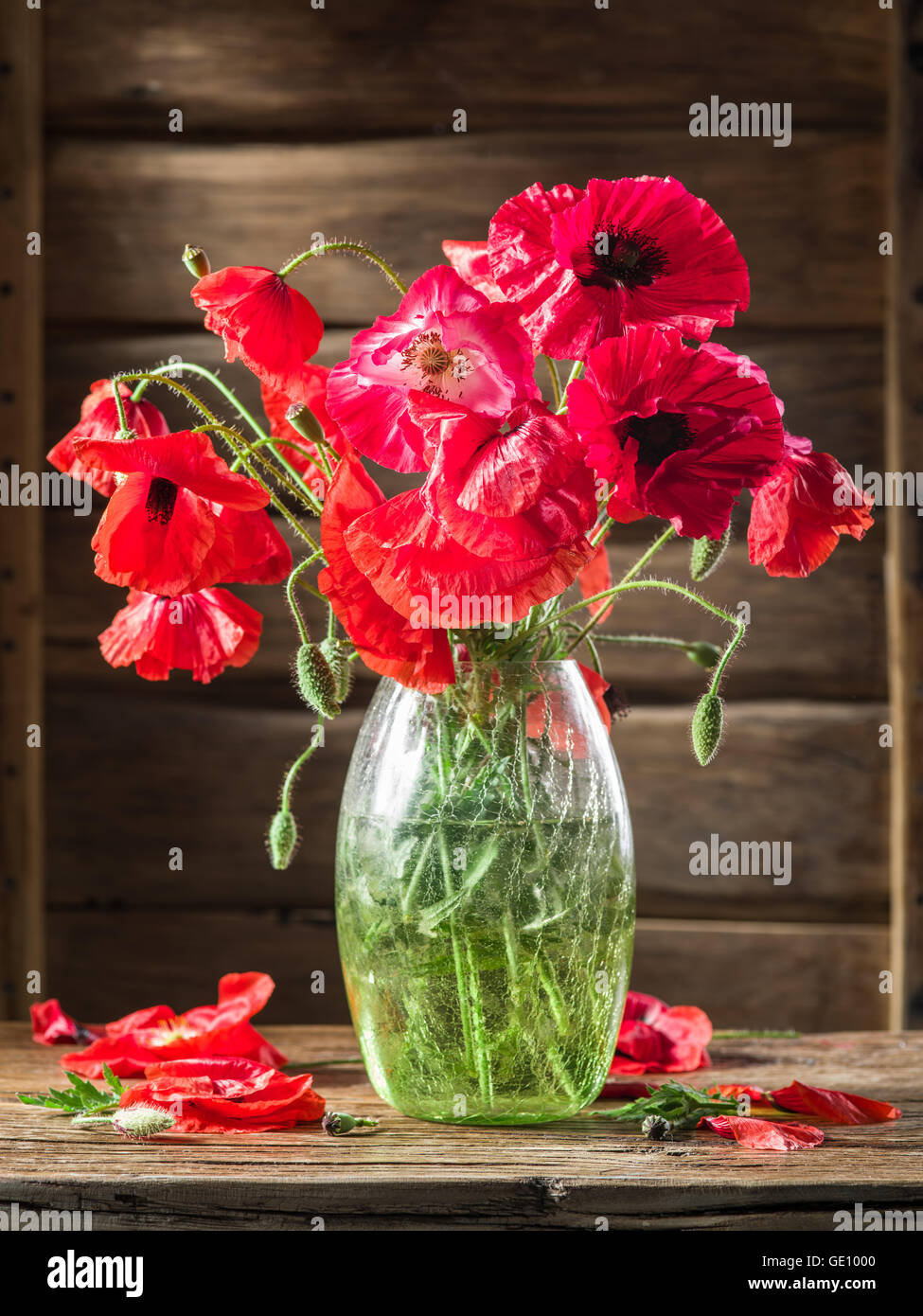 Bouquet di fiori di papavero nel vaso sul tavolo di legno. Foto Stock