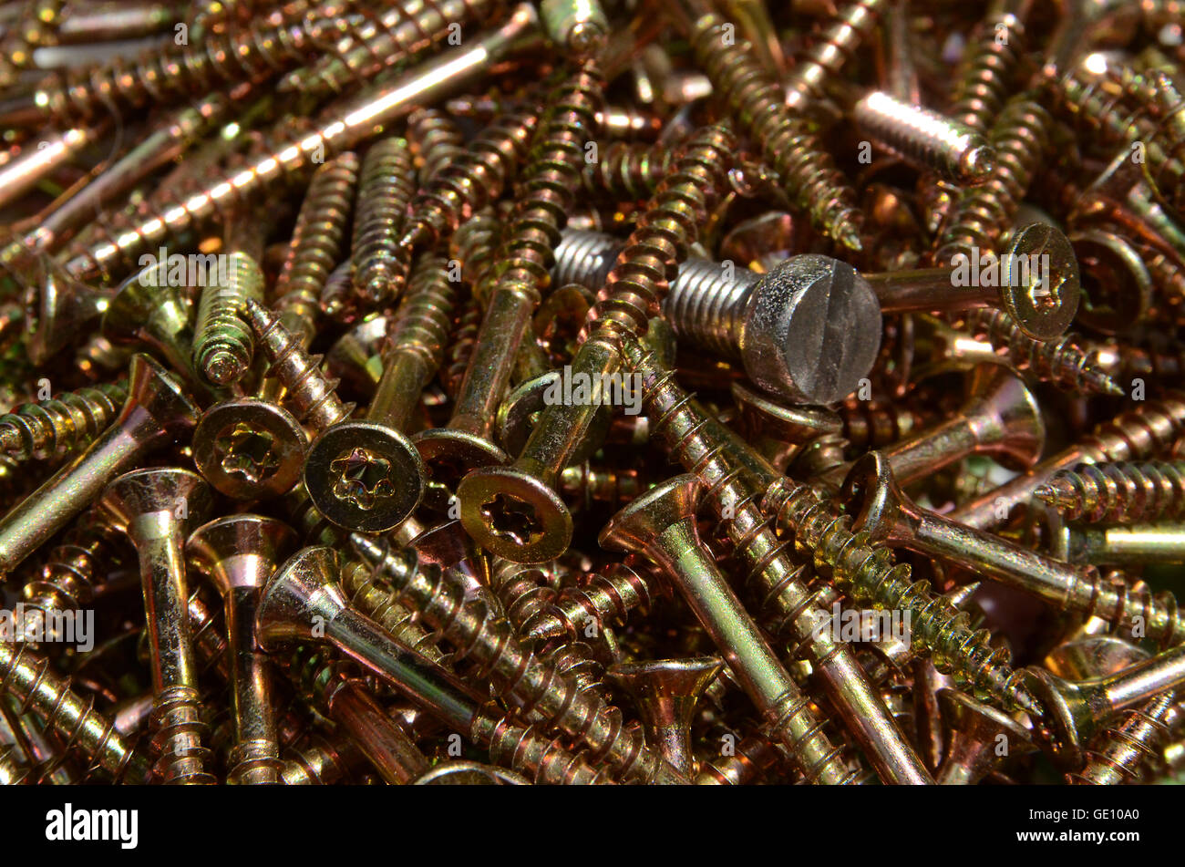 Un intero lotto di nuovo cacciavite Torx viti per legno dello stesso tipo - o se vi è un intruso? Foto Stock