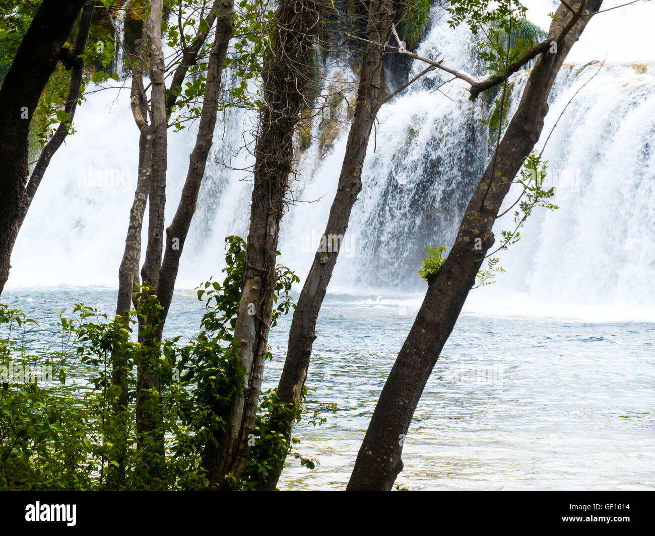 Skrabinski Buk Riserva Naturale, Croazia Foto Stock