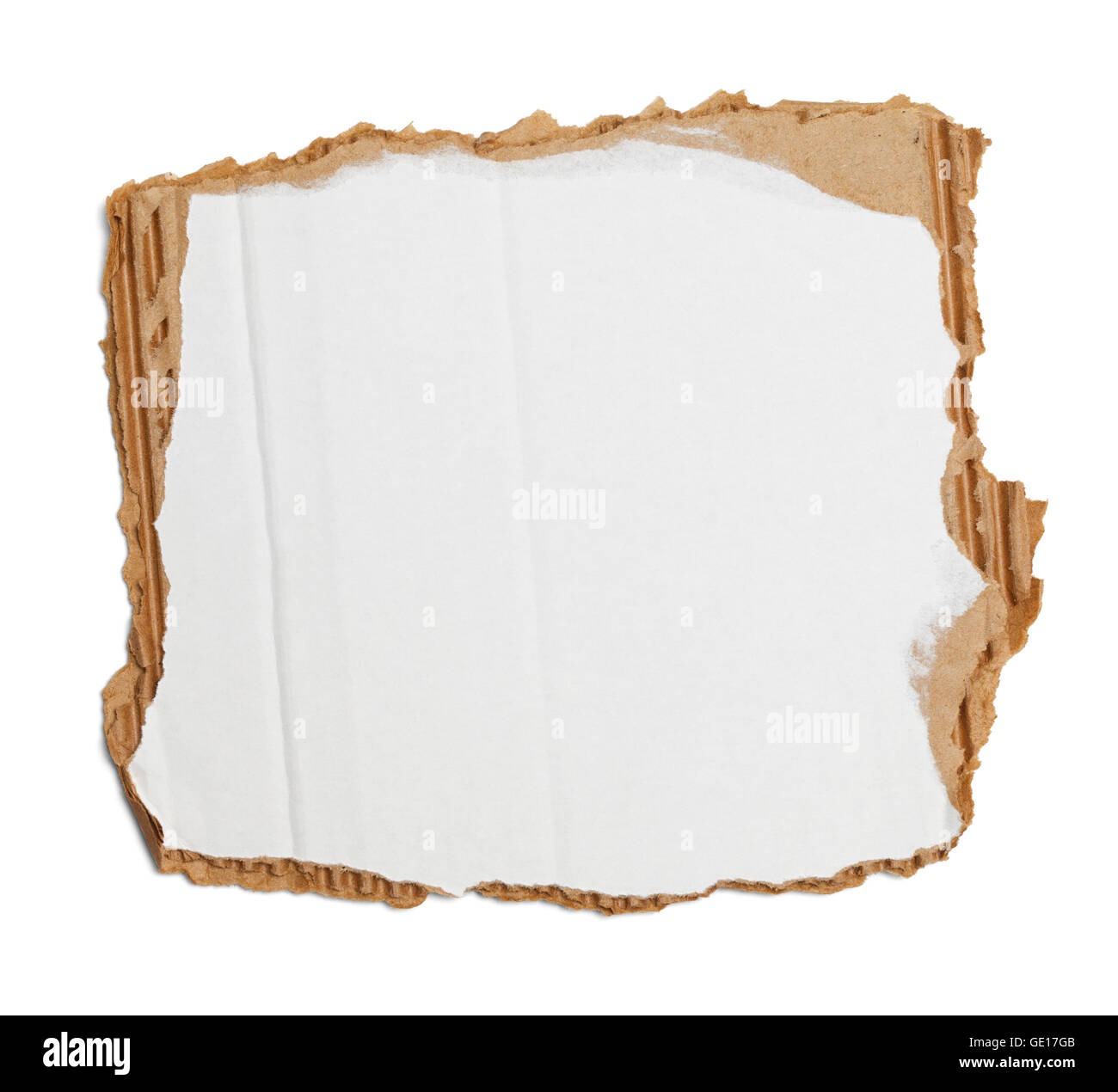 Il pezzo bianco di cartone ondulato strappato e isolato su bianco. Foto Stock