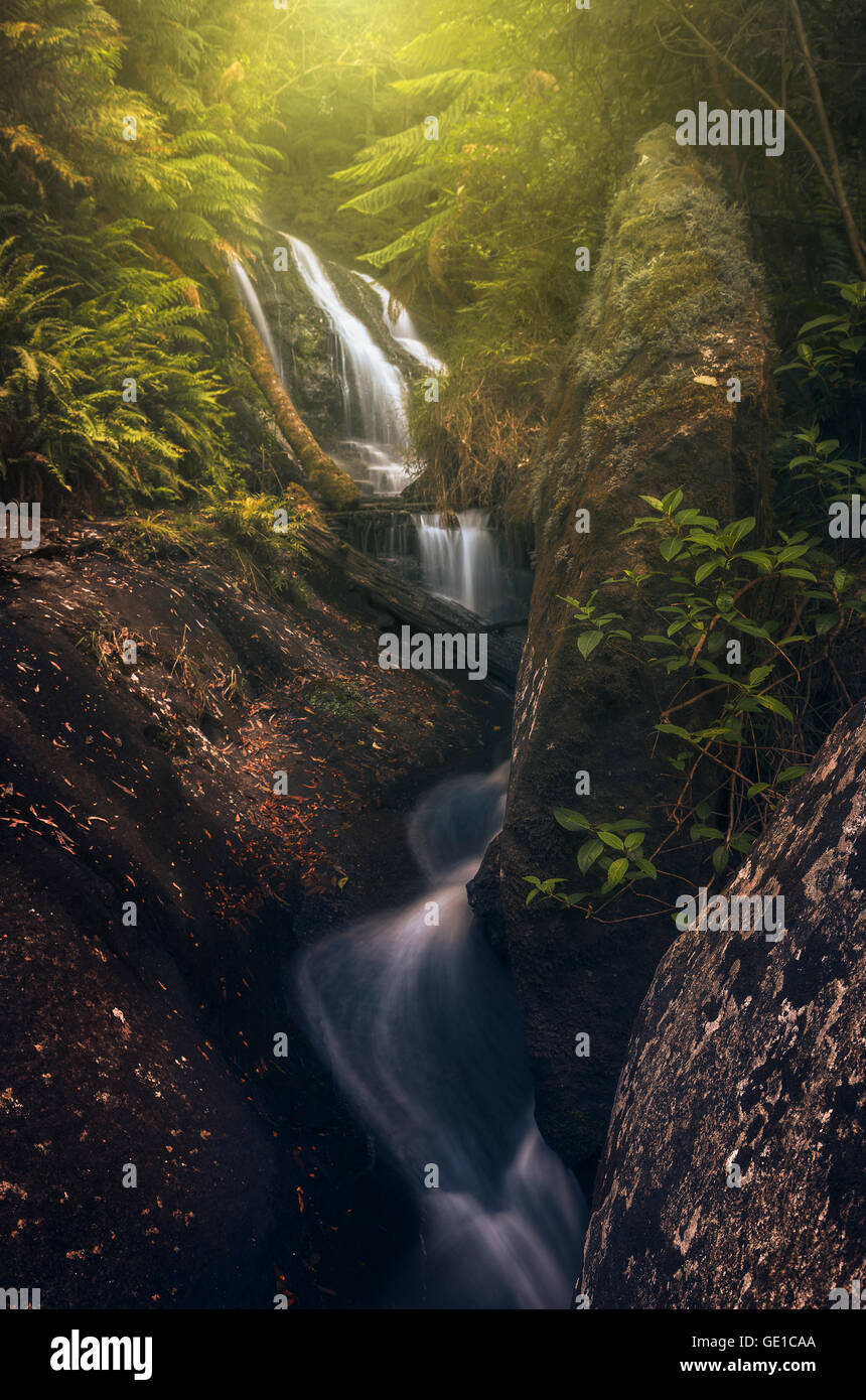 Cascata, stream, rocce e vegetazione lussureggiante in Victoria, Australia Foto Stock