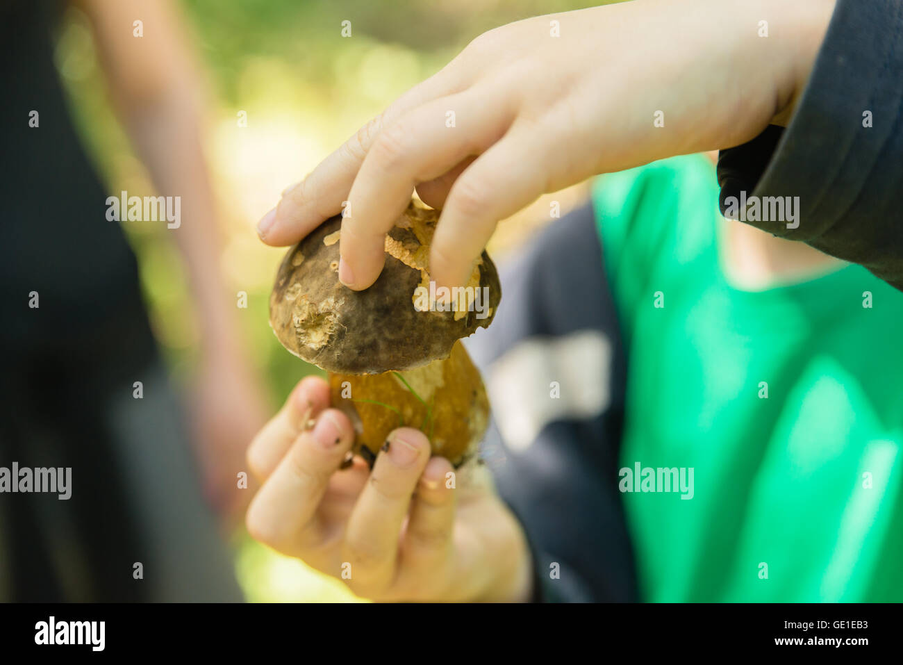 Ragazzo tenendo un fungo Foto Stock