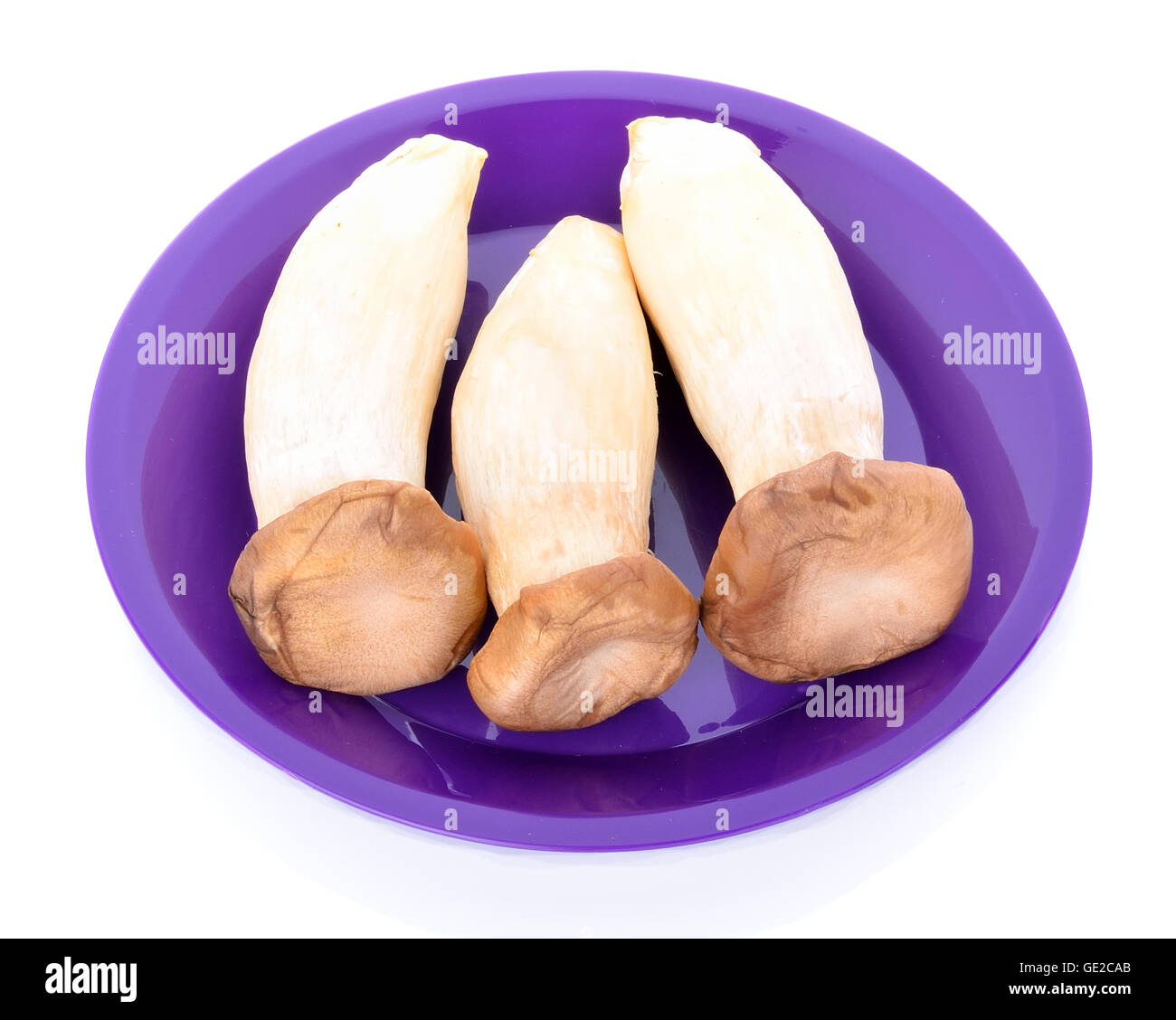 Re di funghi orecchioni (Eringi) su sfondo bianco Foto Stock