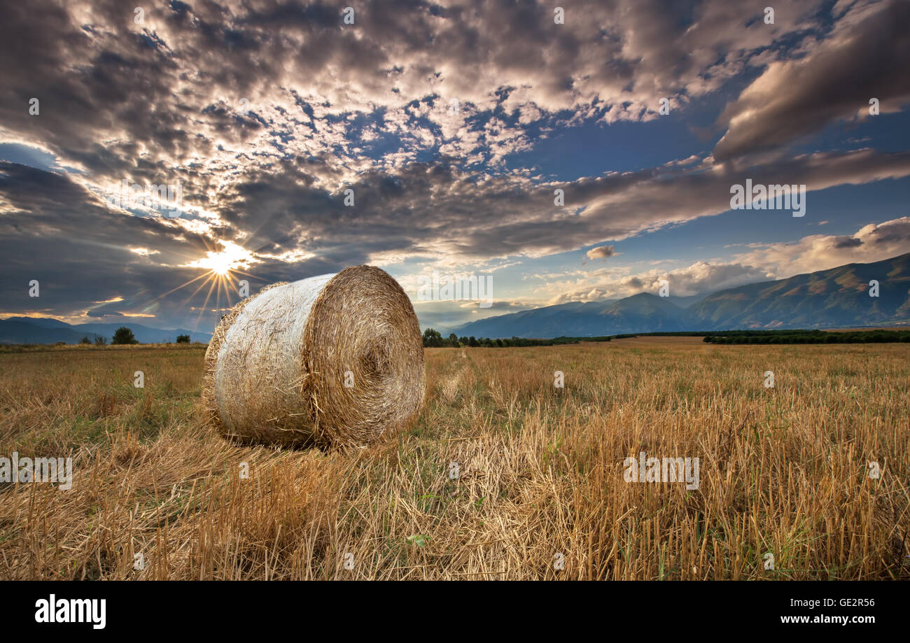 Tramonto sul campo di fattoria con balle di fieno. Foto Stock