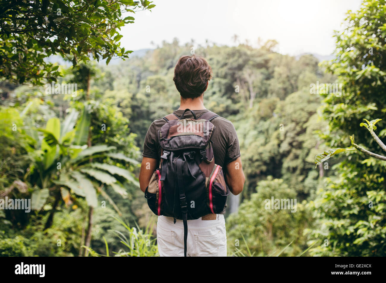 Vista posteriore dell'uomo guardando a cascata. Escursionista maschio in piedi nella foresta e la visualizzazione di cascata. Foto Stock