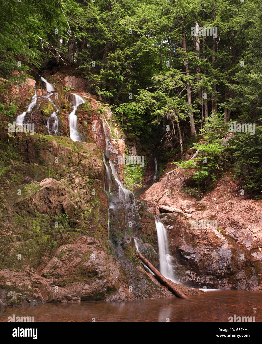 Cascata quasi a secco in area boschiva. Foto Stock