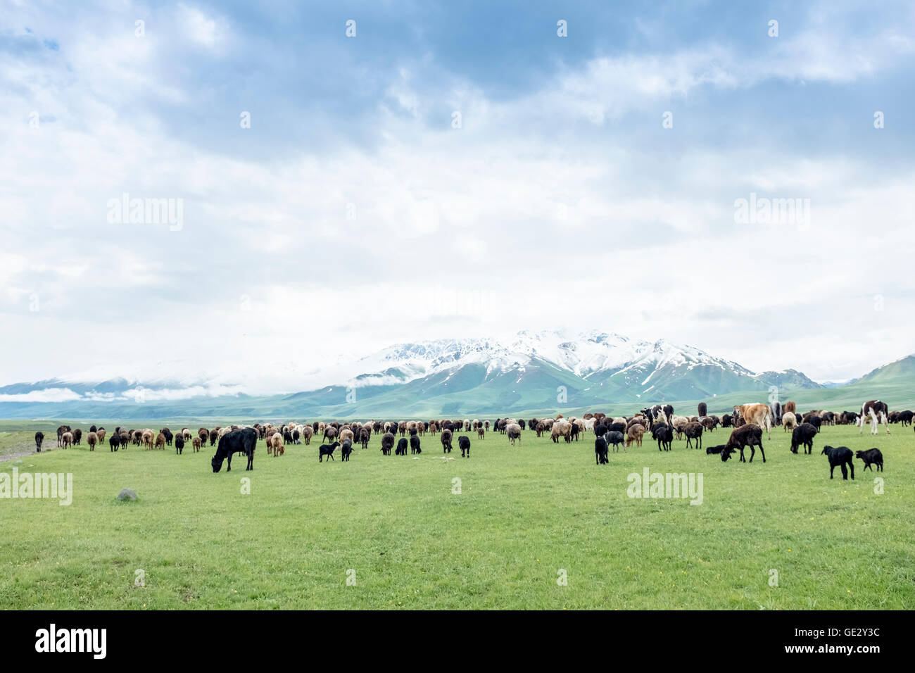 Kirghizistan Foto Stock