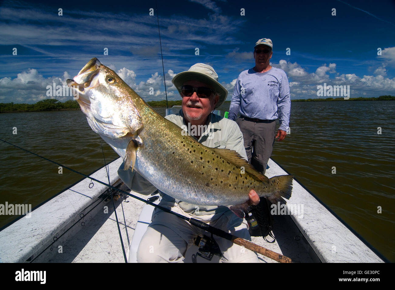 Grande 'Gator' trota vengono spesso catturati in Florida la laguna di zanzara vicino a New Smyrna Beach sulla costa est. Foto Stock