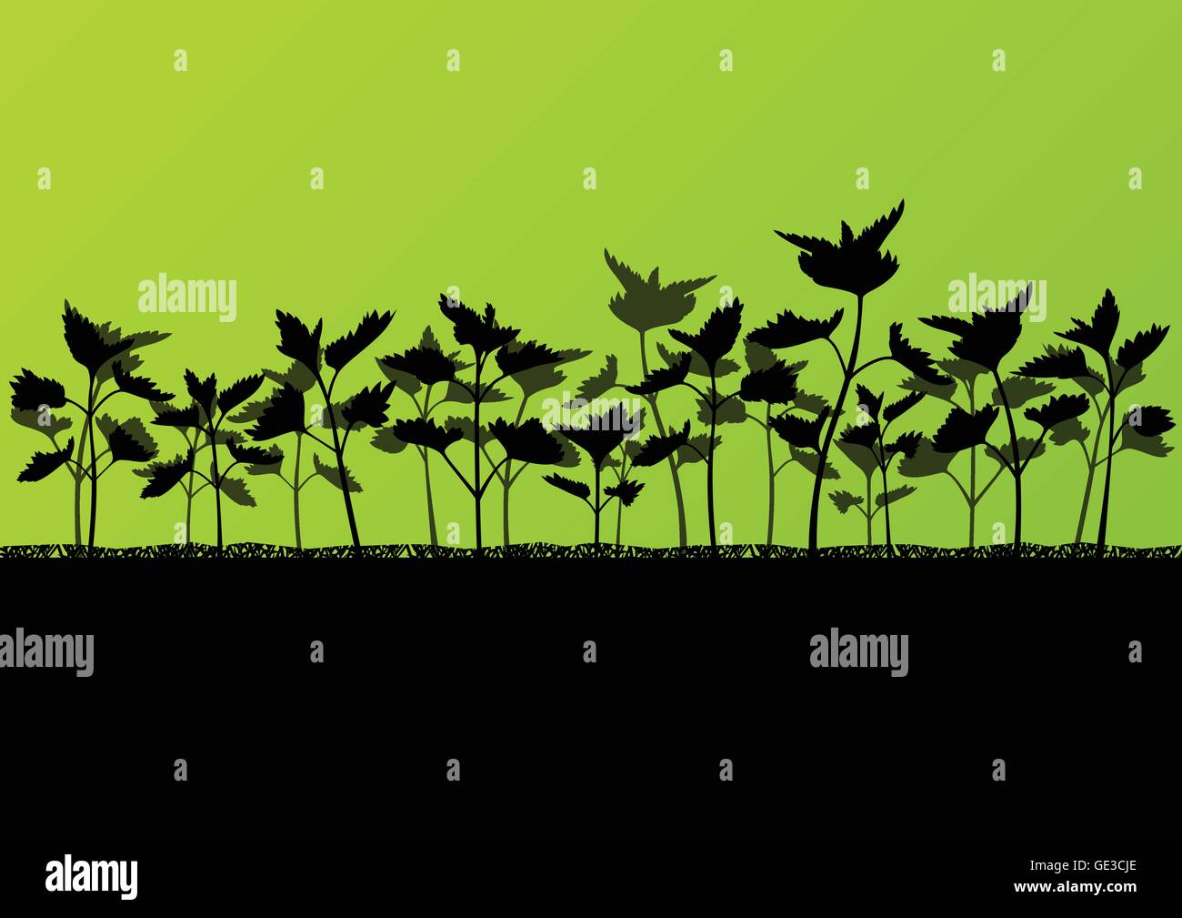 Ortica erbe selvatiche piante silhouettes dettagliata illustrazione vettore di fondo Illustrazione Vettoriale