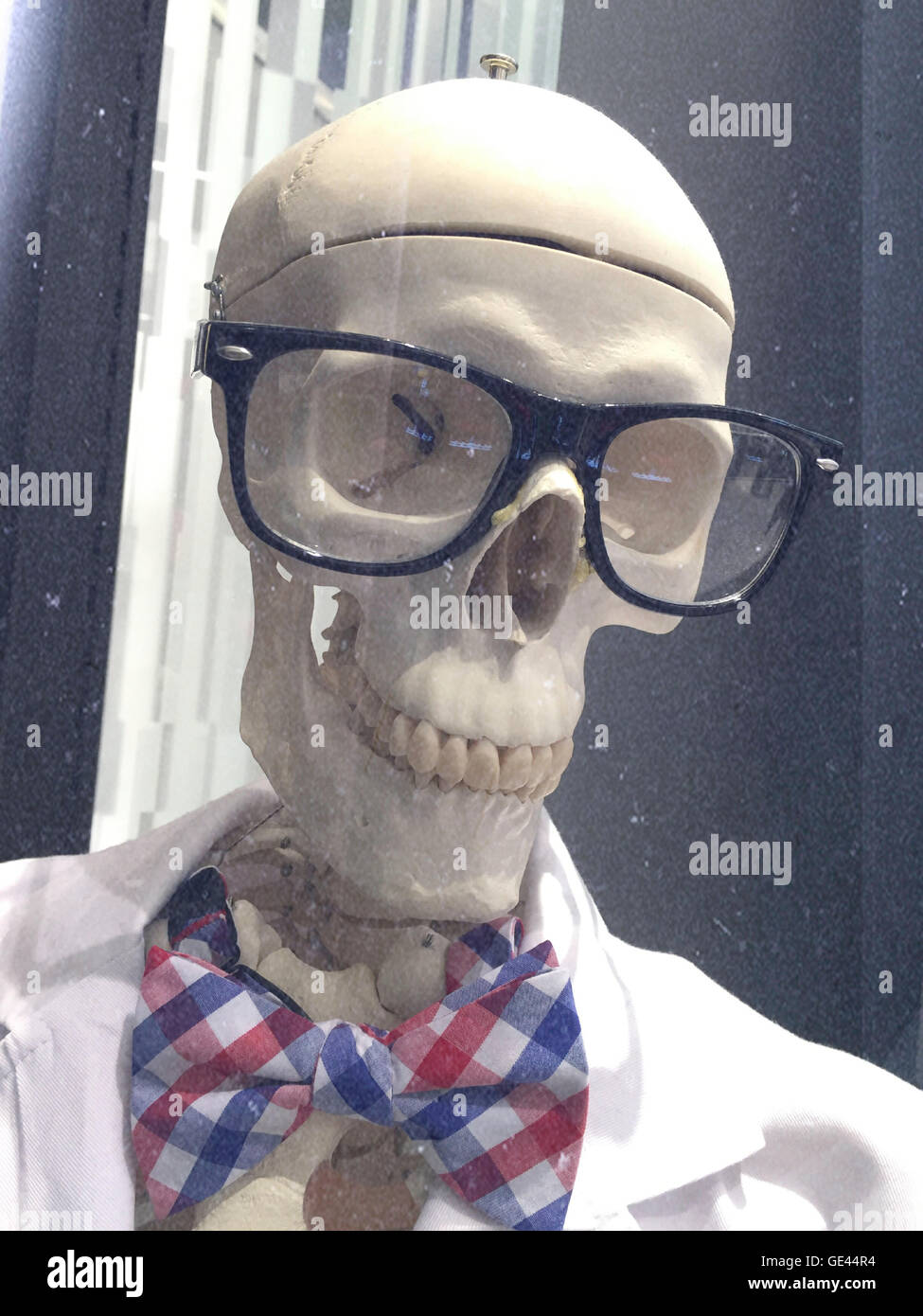 Cranio con bicchieri e papillon -- Kiehl's Display a Macy's, NYC Foto Stock