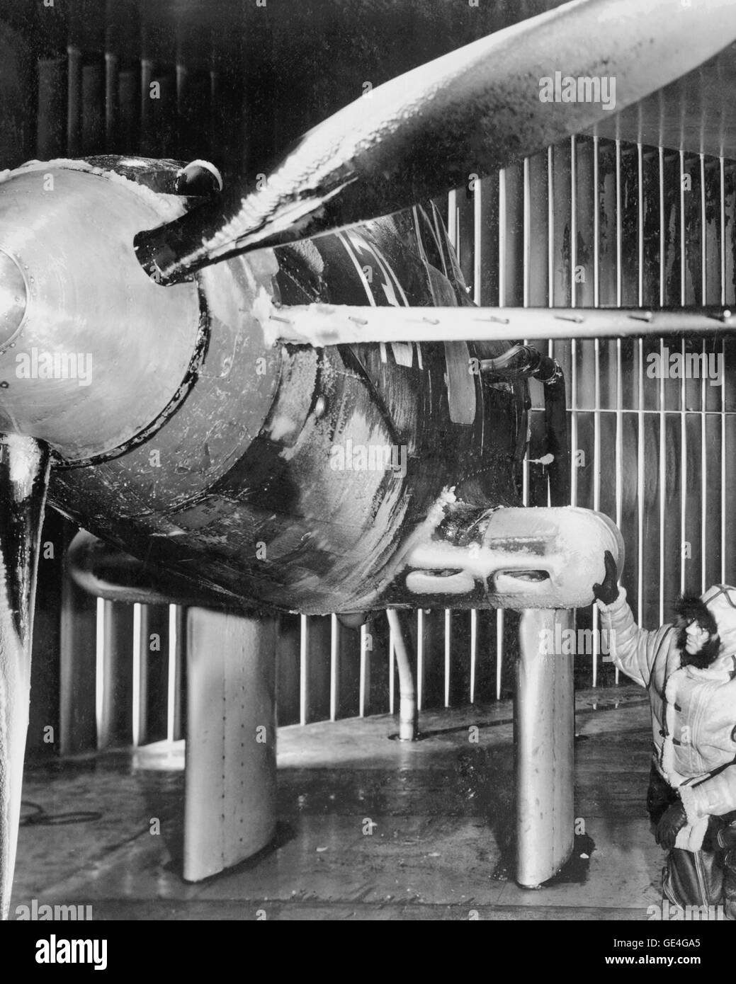 (5 marzo 1945) queste formazioni di ghiaccio sull'elica e superfici di fusoliera di un unità di test installato in Icing Research Tunnel al motore del velivolo laboratorio di ricerca il comitato consultivo nazionale per l'aeronautica, Cleveland, Ohio, ora noto come John H. Glenn Research Center al campo di Lewis, mostrare che cosa può accadere di un aereo in volo in determinate condizioni atmosferiche. Il ghiaccio si degrada le prestazioni di un aeromobile in volo e può causare la perdita di controllo. Immagine # : C1945-8833 Foto Stock