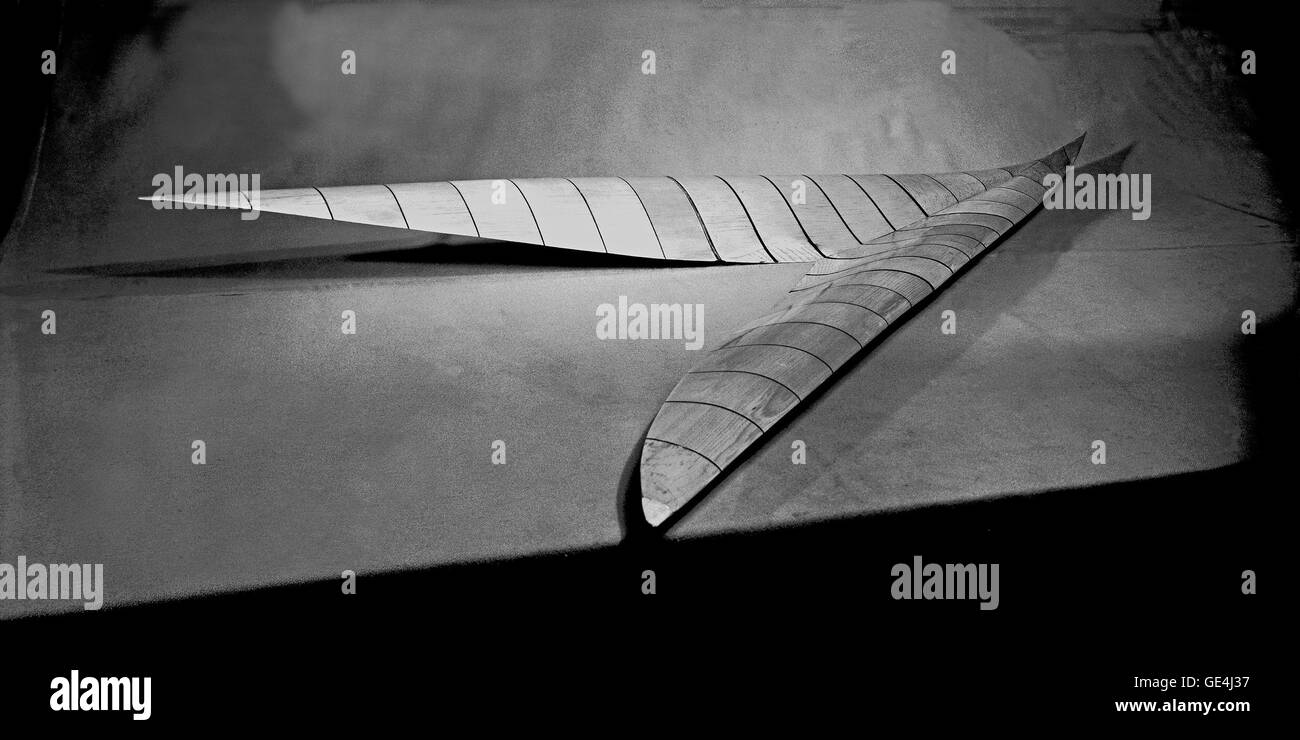 Il modello di display Langley, mostrato da una vista posteriore, illustra il design radicale di un'ala supersonica con un naso rialzato simile a un cobra e bordi alari bombati. Il design rappresenta un progresso significativo nell'aerodinamica per gli aeromobili supersonici. Foto Stock