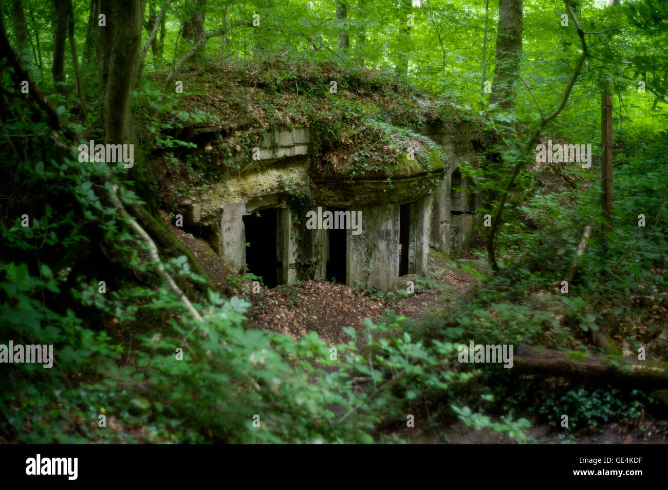 Argonne Forest, WWI battlefield in Francia. Luglio 2016 Abri Kron Prinz, Tedesco principe ereditario Wilhelm von Preußen, figlio di Guglielmo II Tre bunker sulla linea del fronte nella Foresta delle Argonne. Il Meuse-Argonne offensivo, noto anche come Maas-Argonne offensiva e la battaglia della Foresta delle Argonne, era una parte importante dell'ultima offensiva alleata della I Guerra Mondiale che si estendeva lungo tutto il fronte occidentale. Essa è stata combattuta dal 26 settembre 1918, fino all'armistizio del 11 novembre 1918, un totale di 47 giorni. Il Meuse-Argonne offensiva era la più grande negli Stati Uniti storia militare, coinvolgendo 1.2 mill Foto Stock