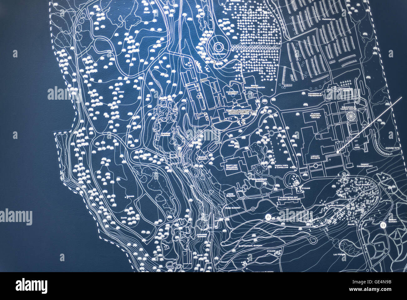 Blueprint di giardini presso la Biblioteca di Huntington, collezioni d'arte e Giardini Botanici Foto Stock