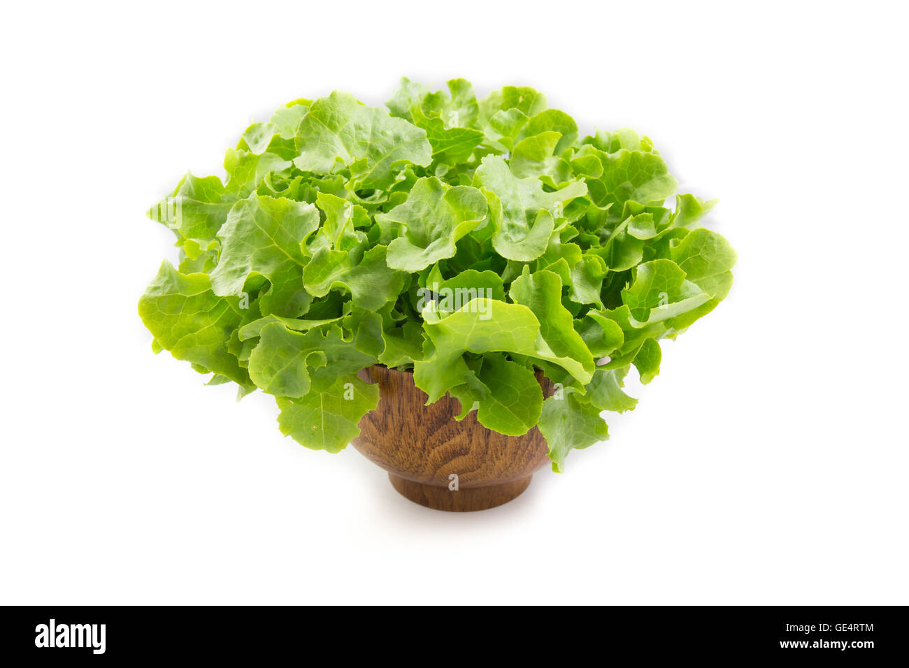 Gli ortaggi biologici isolati su sfondo bianco Foto Stock