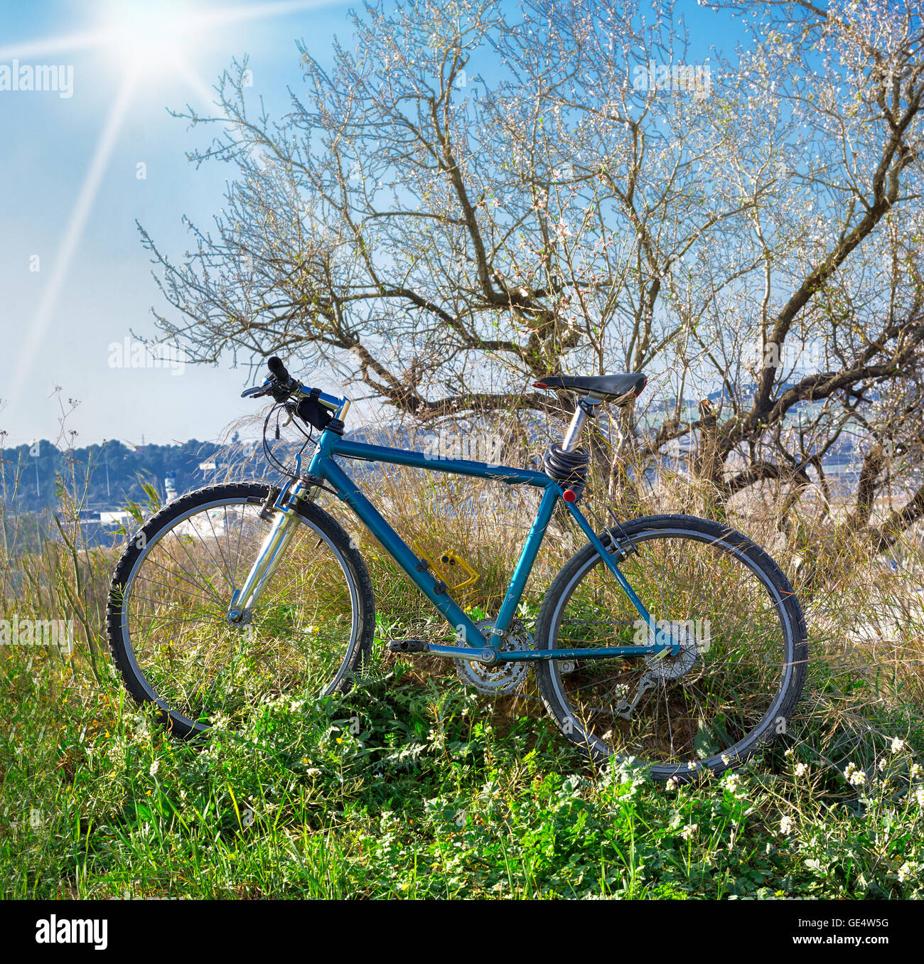 Bicicletta di montagna nella luce solare outdoor - sullo sfondo della natura Foto Stock