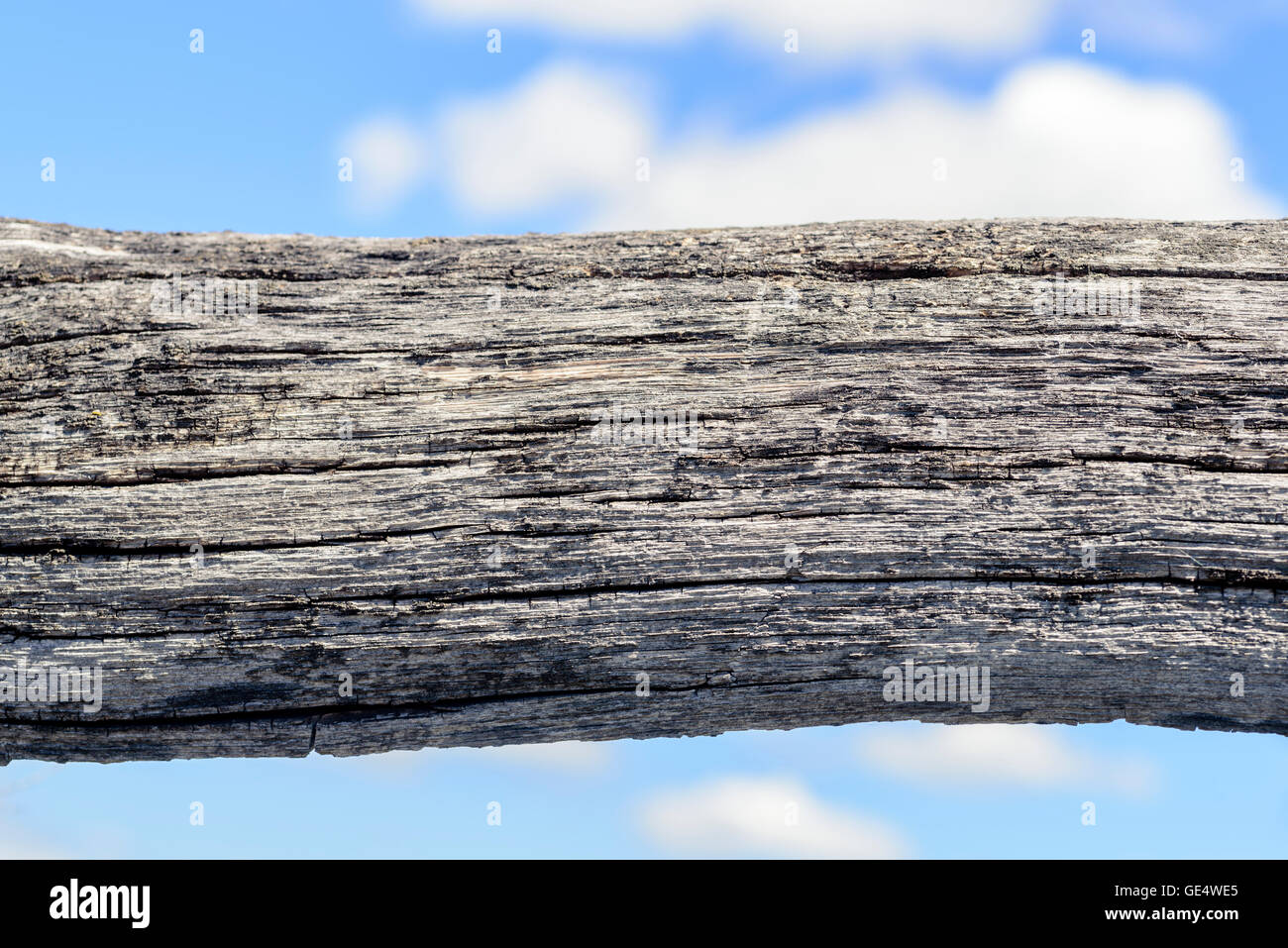 Invecchiato in legno con registro indossato i colori impostati contro un cielo azzurro sfondo con Copia area di spazio Foto Stock