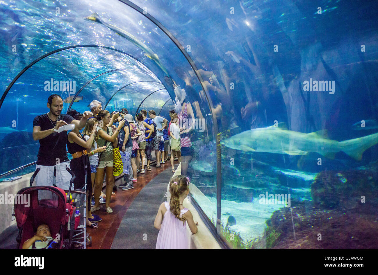 Tunnel sottomarino in un acquario, L'Aquarium, Moll d'Espana, Barcellona,  in Catalogna, Spagna Foto stock - Alamy