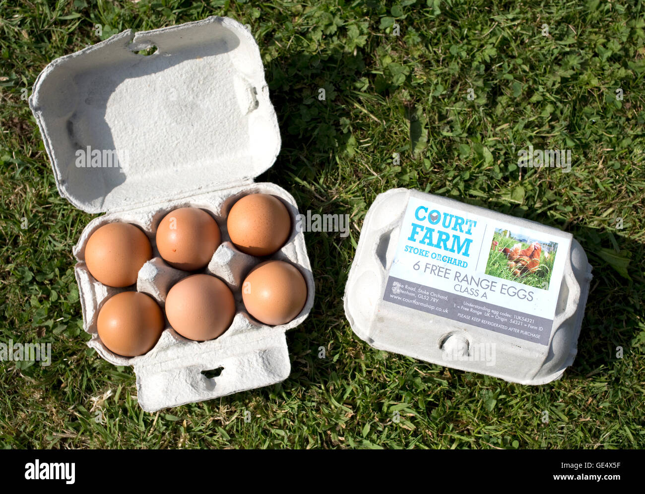 Due scatole di intervallo libero uova classe a Regno Unito Foto Stock