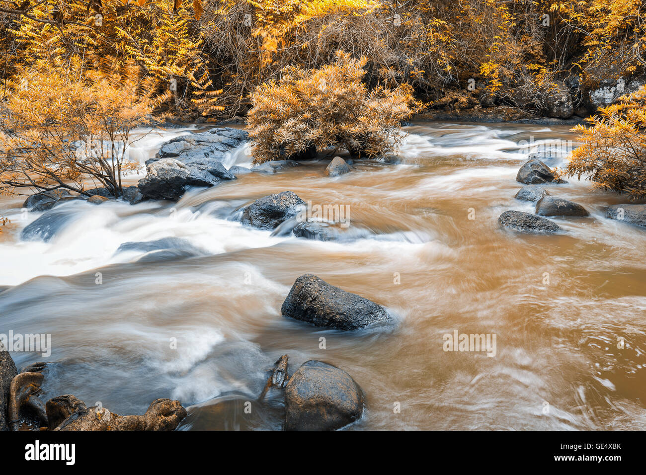 Motion Blur di fango che scorre il fiume nella foresta di autunno in movimento attraverso le rocce. Esso è venuto dalla grande cascata all'interno della giungla. Foto Stock