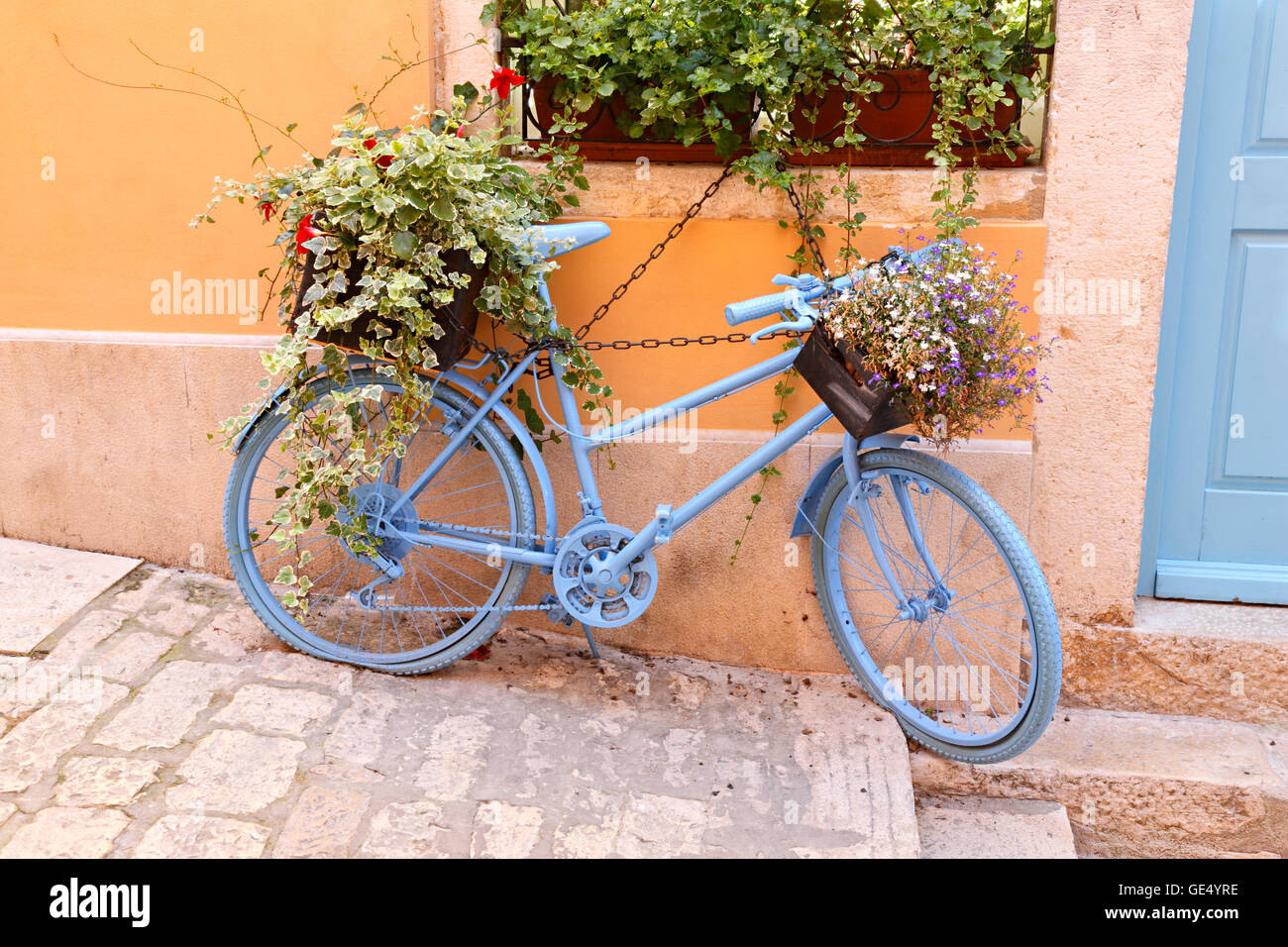 Vecchia bicicletta con fiori in Old Street della citta di Rovigno Foto Stock