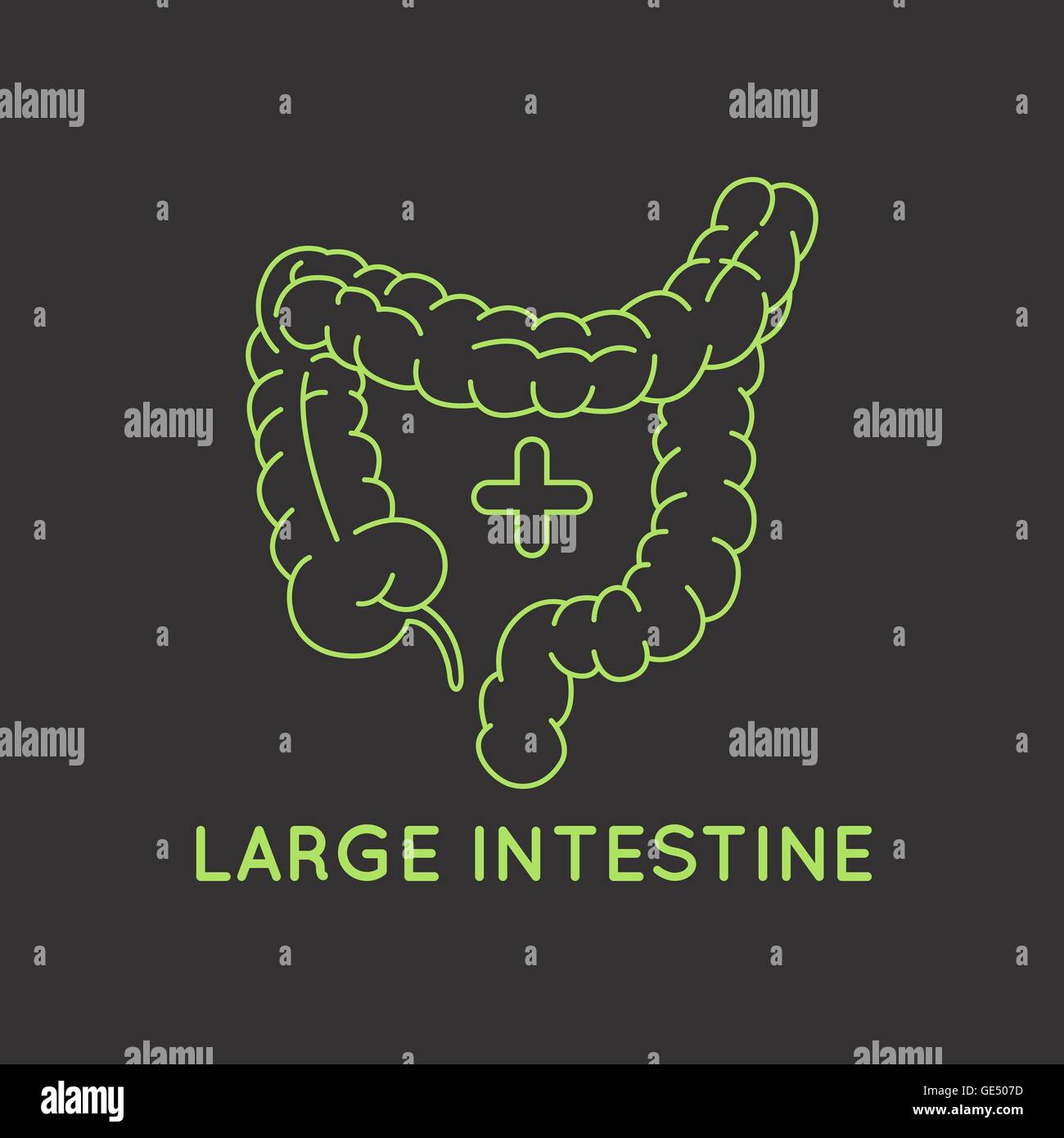 Intestino crasso medico vettore logo Illustrazione Vettoriale