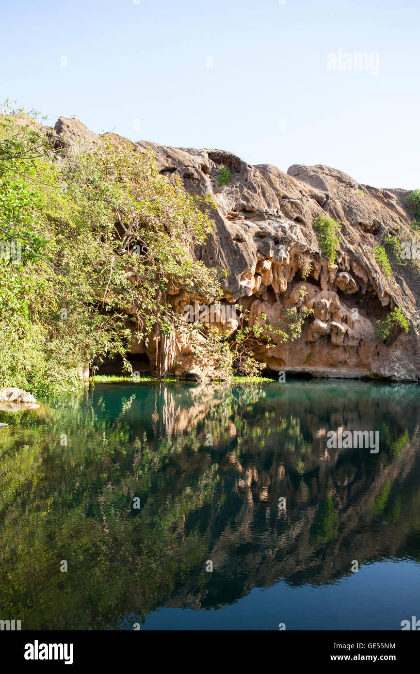 Oasi in Dhofar montagne, Oman. Foto Stock