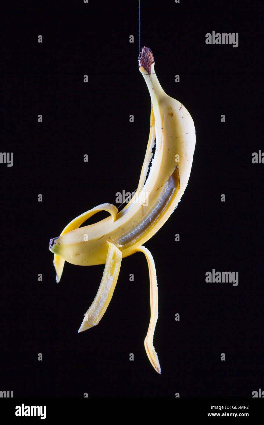 Ritratto di una banana su una stringa. Foto Stock