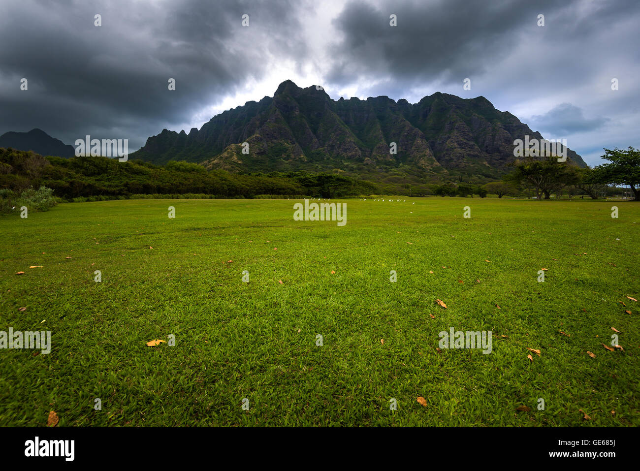 Kualoa Ranch , posizione per l'Jurassic Park' in Oahu, Hawaii Foto Stock