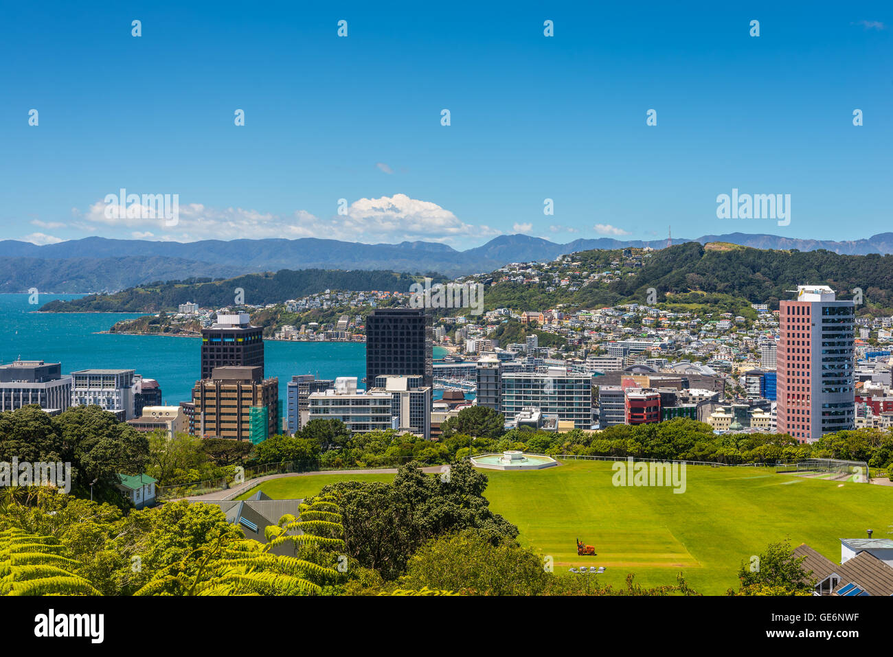 Wellington City panorama, con campo di cricket in primo piano, dalla parte superiore della funivia verso Mt. Victoria, Isola del nord Foto Stock