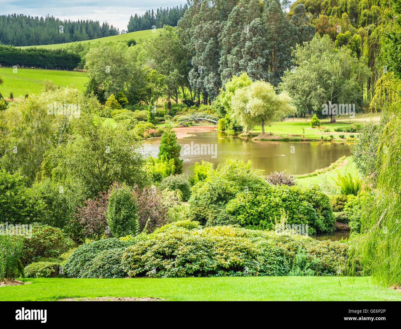 Maple Glen Gardens, South Island, in Nuova Zelanda Foto Stock