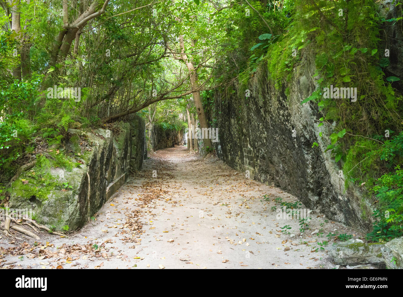 Un taglio lungo il percorso della defunta Bermuda Railway, che azionata dal 1931 al 1948, ora una passeggiate a piedi e in bicicletta trail. Foto Stock