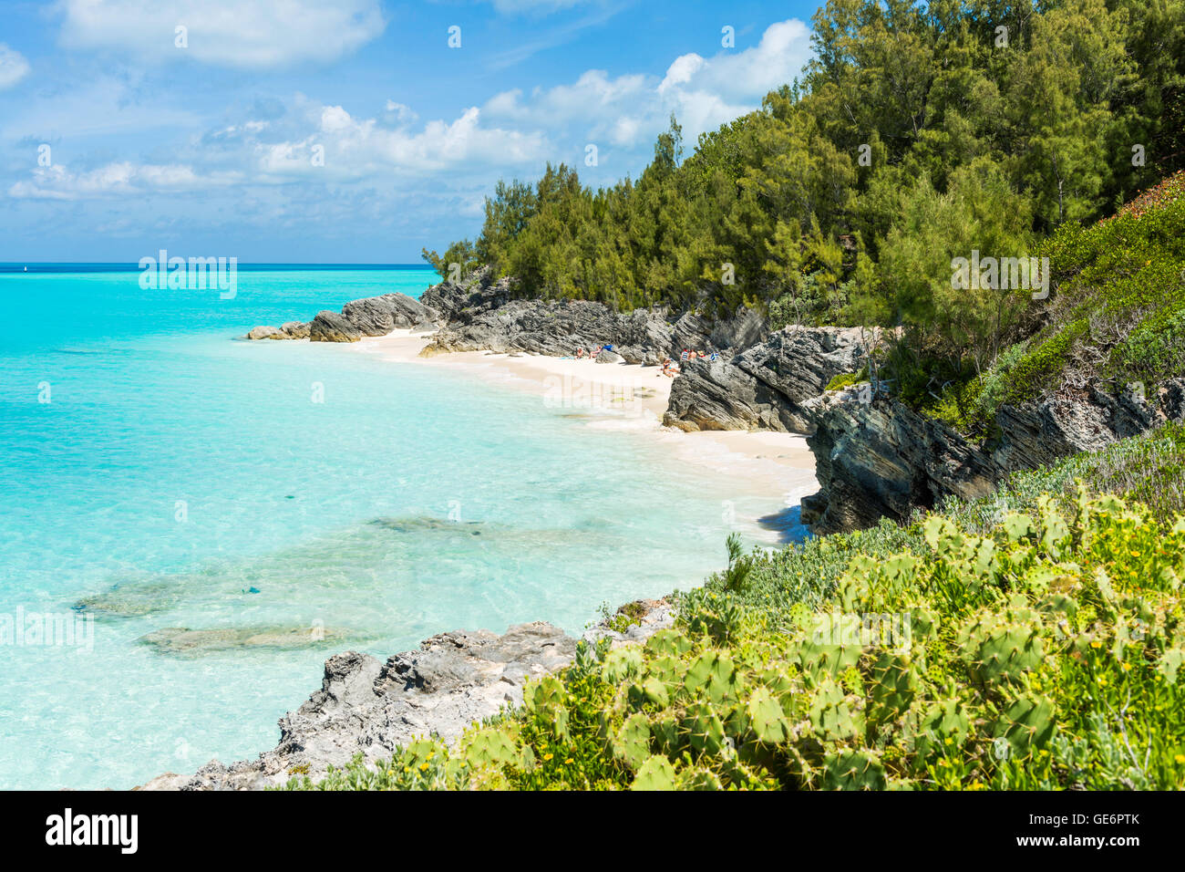 La costa e piccola spiaggia con sabbia rosa a Baia della Balena, Bermuda. Foto Stock