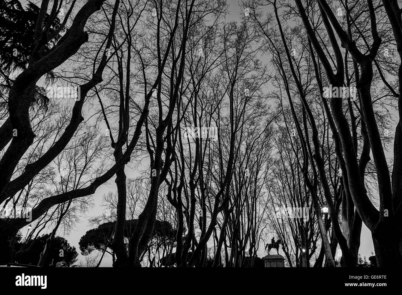 B & W Gianicolo Square, Roma, Lazio, Italiy Foto Stock