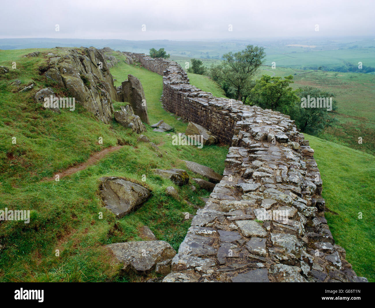Il Vallo di Adriano sito romano a balze Walltown, Northumberland Foto Stock