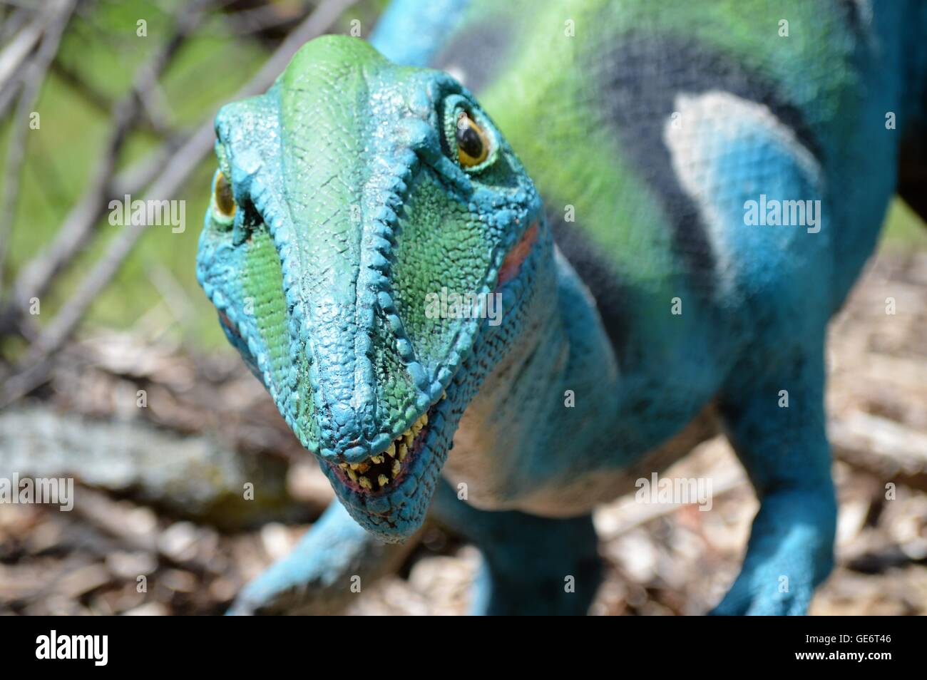 Velociraptor dinosauro allo zoo Foto Stock