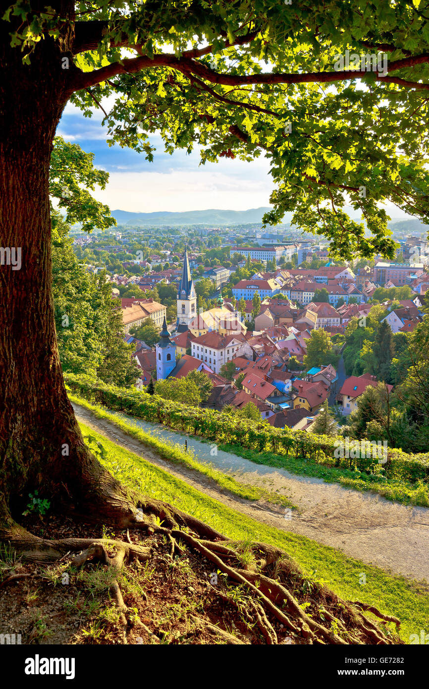 Capitale Verde d'Europa 2016 Ljubljana antenna vista verticale con albero, Slovenia Foto Stock