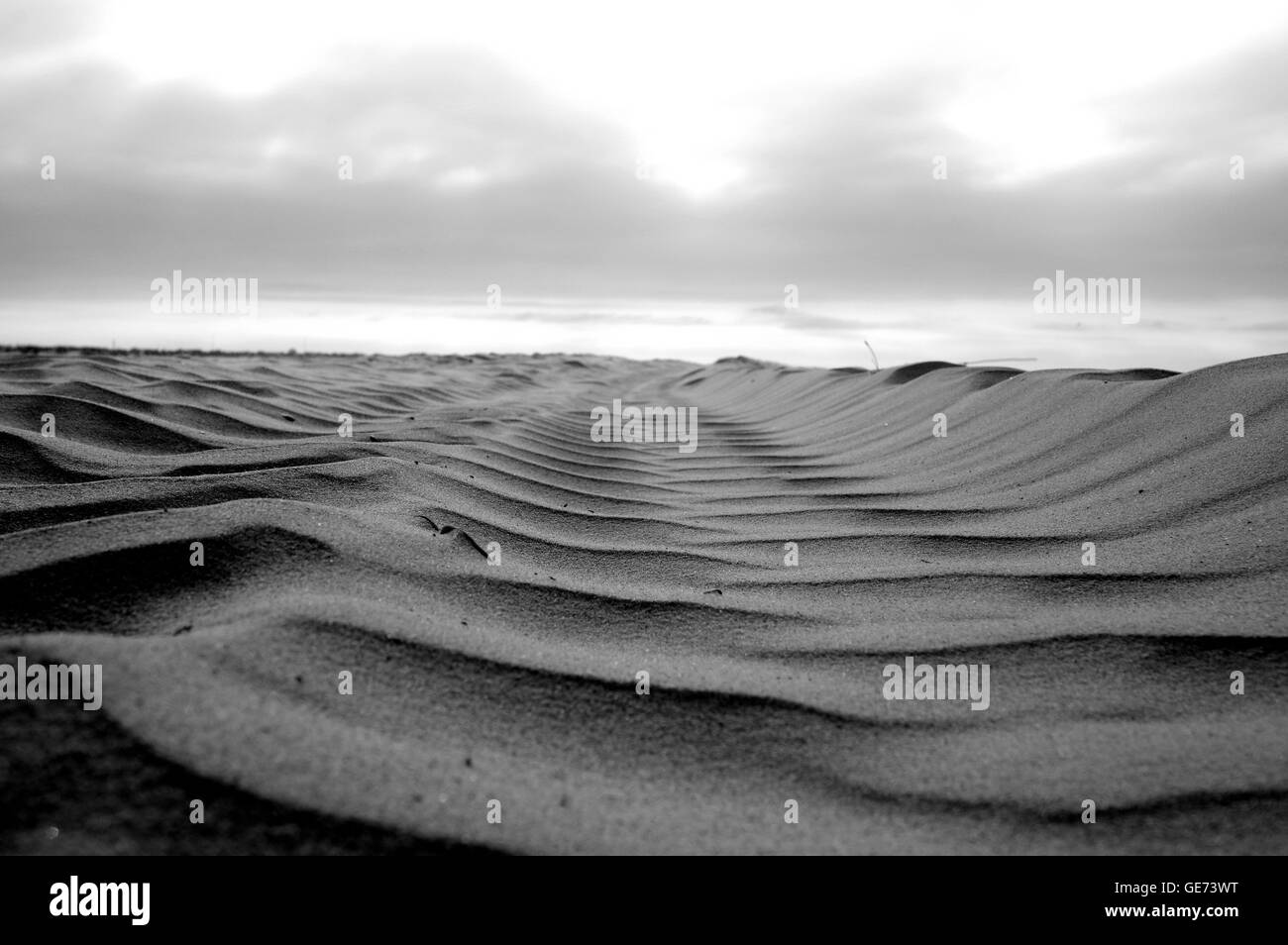 Blackandwhite,adorabili,waldisputninsphotography,geometria,abstract,moody,creative,prospettiva,pavimentazione,Road,superficie,,areale wayart Foto Stock