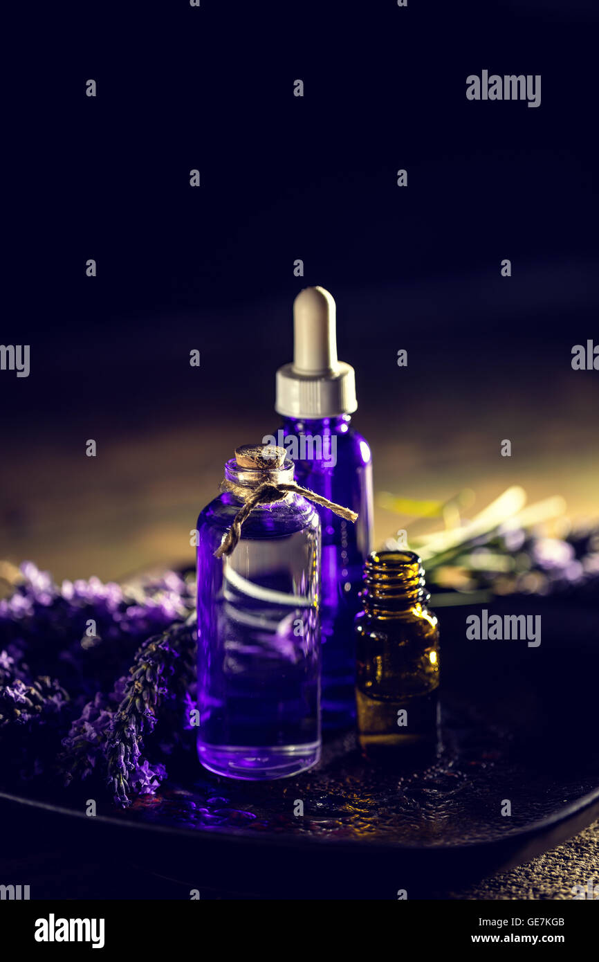 Olio aromaterapia e freschi di fiori di lavanda su sfondo scuro Foto Stock