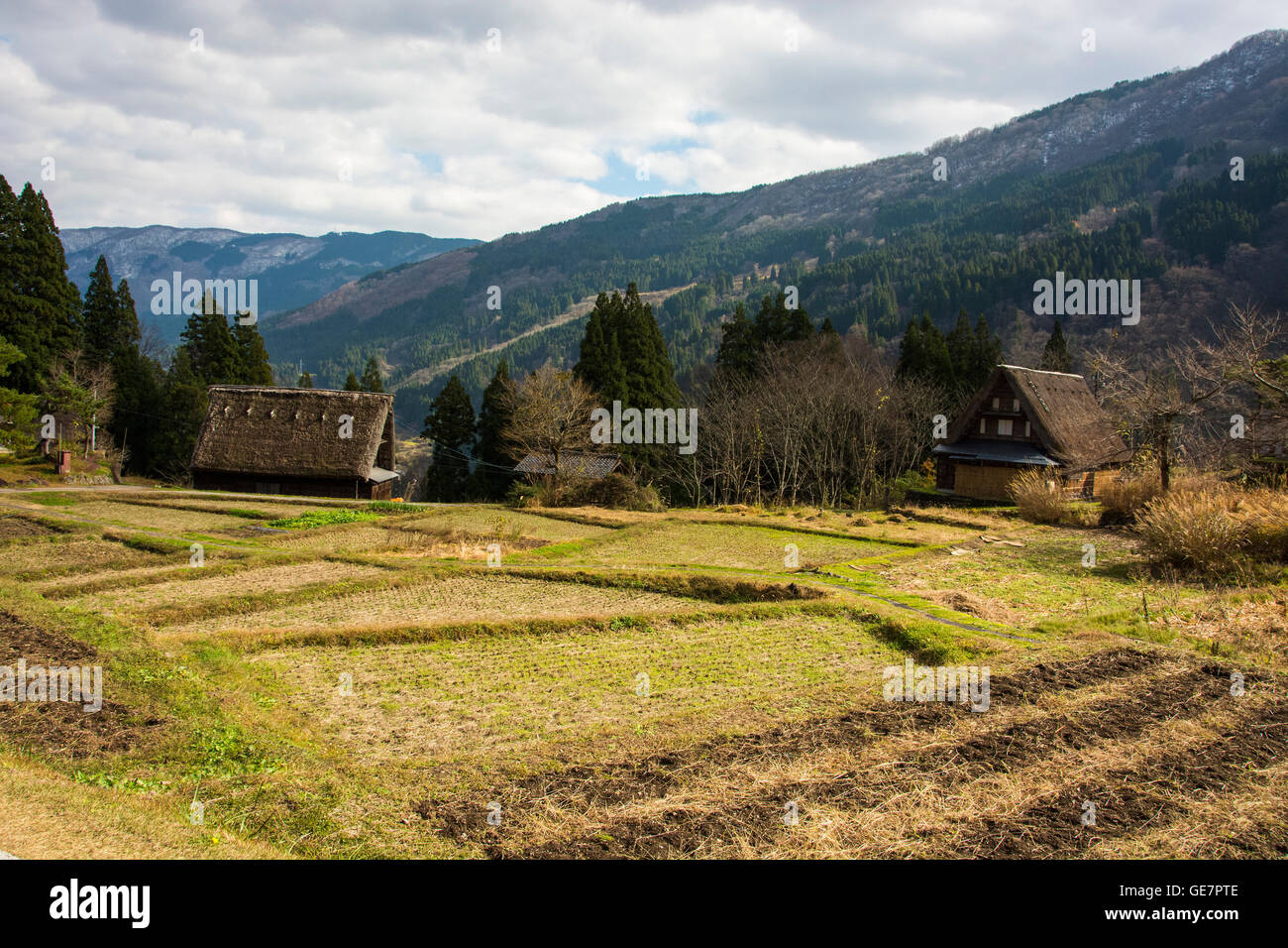 Papermaking tradizionale in Gokayama, Giappone Foto Stock