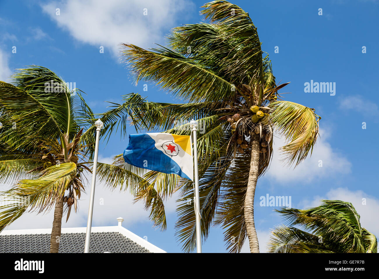 Palme battenti sotto il cielo blu con bandiera di Bonaire Foto Stock